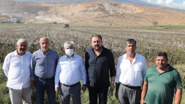 Vali Doğan, Pamuk Hasadına Katıldı