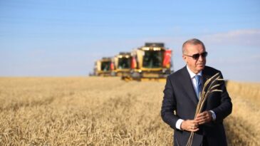 Çiftçiyi sevindiren  buğday taban fiyatı açıklandı