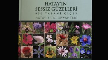 Doğadan Gelen Şifa…