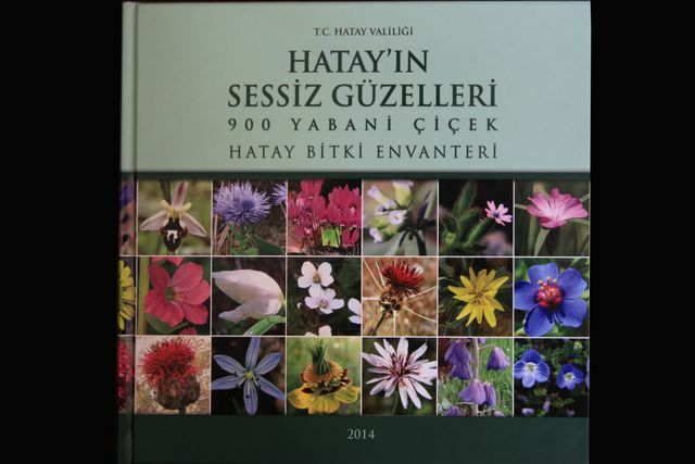 Doğadan Gelen Şifa…