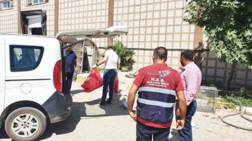 HBB: YAVRU KÖPEKLER İNSANLIK DIŞI ŞEKİLDE ÖLDÜRÜLDÜ