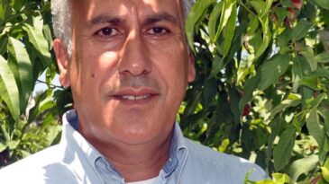 Amik Ovası’nda üreticiler, çekirdekli meyvecilikte erkencilik avantajını kullanmak istiyor