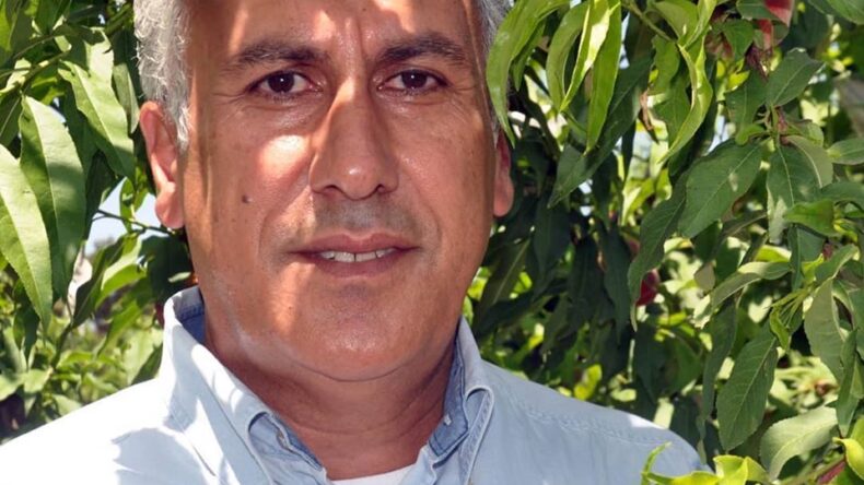 Amik Ovası’nda üreticiler, çekirdekli meyvecilikte erkencilik avantajını kullanmak istiyor