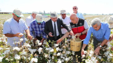Bakan Kirişci Amik Ovası’nda pamuk hasadına katıldı