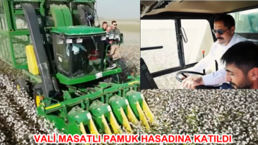 VALİ MASATLI PAMUK HASADINA KATILDI