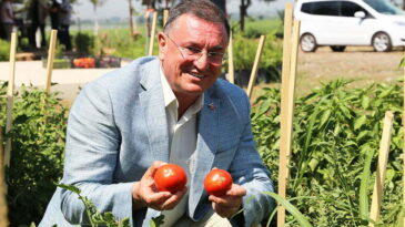 BÜYÜKŞEHİR’İN ÜRETİM HAMLELERİ MEYVELERİNİ VERİYOR