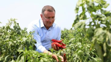 Hatay’ımızın ürünlerine değer katmaya  devam edeceğiz