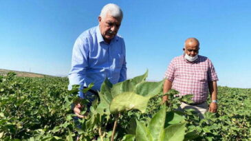 MİLLETVEKİLİ TOKDEMİR,  “ÇİFTÇİMİZİN FERYADI DUYULMALIDIR”