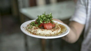 Reyhanlı humusu ve beyaz soğanı için  coğrafi işaret başvurusu