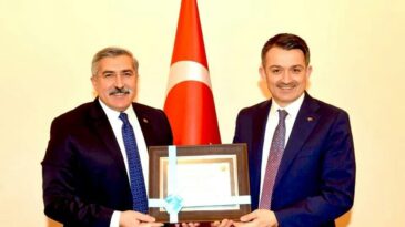 Pamuk üreticisine müjde