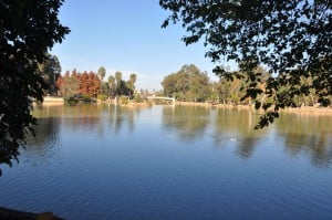 12348032_10203859129277596_7489750460607222710_n