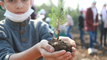Reyhanlı Eğitim Köyü’nde kalan Suriyeli yetim çocuklar  Hatay’a nefes olmak için fidan dikti
