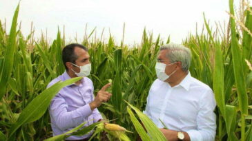 MISIR’A ÜRÜN DESTEĞİ VERİLDİ