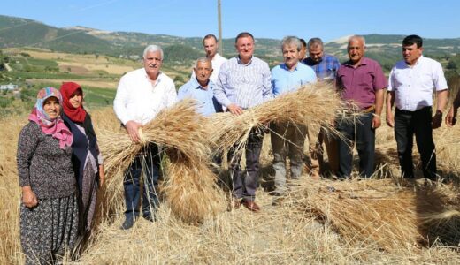 2020 HATAY İÇİN HİZMET DOLU YIL OLDU