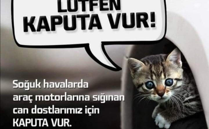 Lütfen kaputa vur !