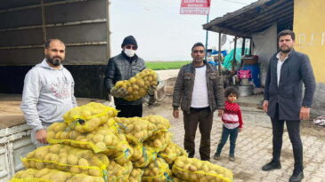 ÇİFTÇİLERE DESTEK AMAÇLI 100 TON PATATES ALIMI YAPILDI