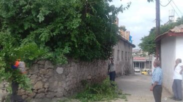 Reyhanlı Belediyesi Şehir Genelindeki Yollara Sarkan Ağaçları Budadı