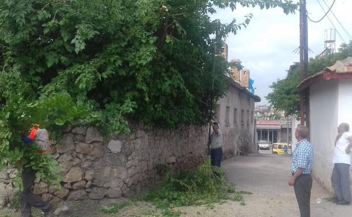 Reyhanlı Belediyesi Şehir Genelindeki Yollara Sarkan Ağaçları Budadı