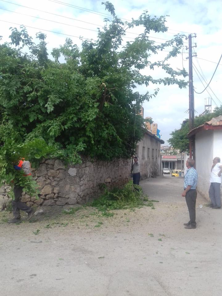 Reyhanlı Belediyesi Şehir Genelindeki Yollara Sarkan Ağaçları Budadı