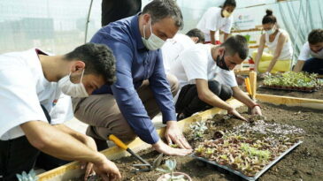 EXPO 2021 İÇİN ÖZEL EĞİTİM GÖREN ÖĞRENCİLER  BİTKİ ÜRETİMİNE BAŞLADI