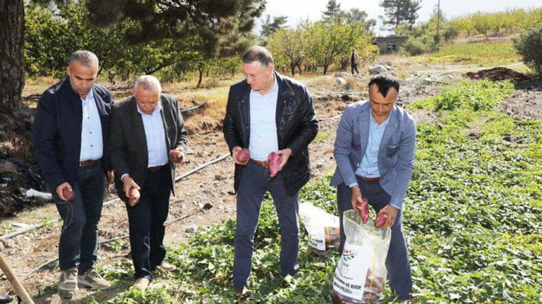 KIRSAL KALKINMA PROJESİNDE DÖRT MEVSİM HASAT