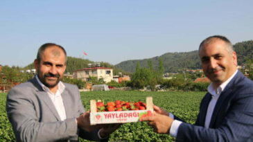 KAŞIKÇI “BİZİM İKİLİĞE DEĞİL, BİRLİĞE İHTİYACIMIZ VAR”