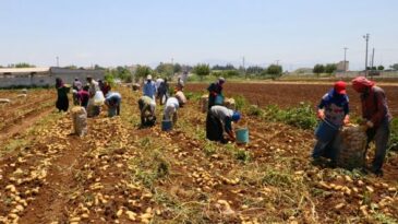 MEVSİMLİK TARIM İŞÇİLERİYLE İLE İLGİLİ TEDBİRLER ALINDI