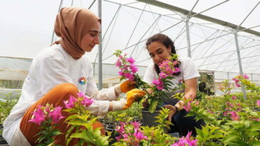 EXPO GÖNÜLLÜLERİ HEM ÜRETİYOR HEM ÖĞRENİYOR