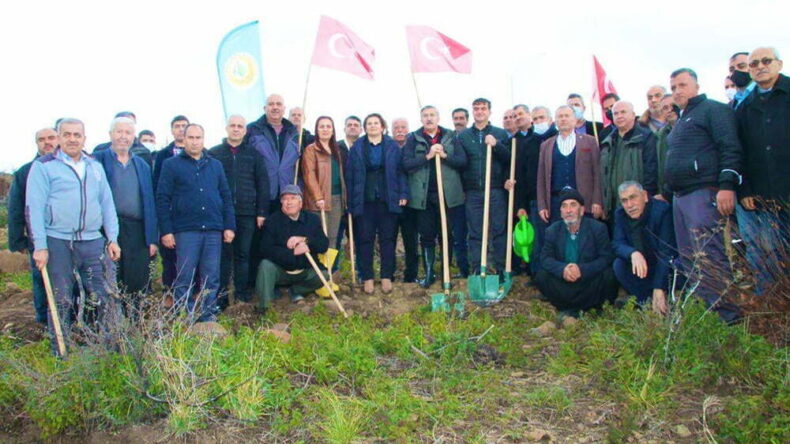YANAN BÖLGE TAMAMEN AĞAÇLANDIRILIYOR