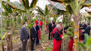 KIZILAY’DAN HASAT ŞENLİĞİ