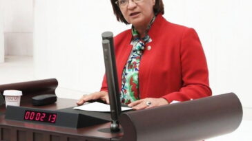 HATAY SAHİLLERİNİ İSTİLA EDEN DENİZANALARI MECLİS GÜNDEMİNDE