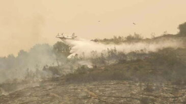 Hatay Valiliği Açıkladı: “Sabotaj ihtimali üzerine 2 şüpheli  gözaltına alındı!”