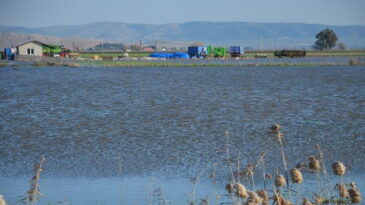 Baraj kapakları açıldı  Amik Ovası su altında kaldı