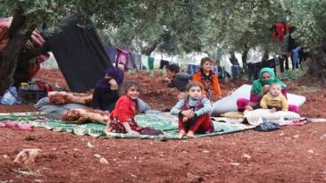 Bombardımandan kaçan siviller zeytinliklere sığındı