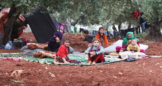 Bombardımandan kaçan siviller zeytinliklere sığındı