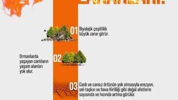 Ateş Yakma, Yangına Sebep Olma!