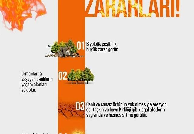 Ateş Yakma, Yangına Sebep Olma!