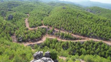 Ormanlara giriş yasaklandı