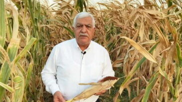 TOKDEMİR: ÇİFTÇİYİ DESTEKLEMEK EN ÖNEMLİ GÖREVDİR