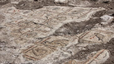 Antakya Hipodromunda mozaik parçası bulundu