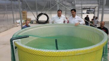 TOPRAKSIZ TARIM İÇİN  HATAY’DA İLK SERA KURULDU