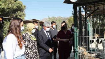 Vali Doğan Hayvan Barınağını Ziyaret Etti
