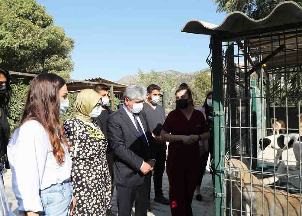 Vali Doğan Hayvan Barınağını Ziyaret Etti