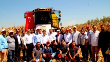 Amik Ovası’nda Mısır Hasadı Başladı