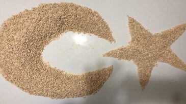 Uyuşturucu operasyonu 2 gözaltı