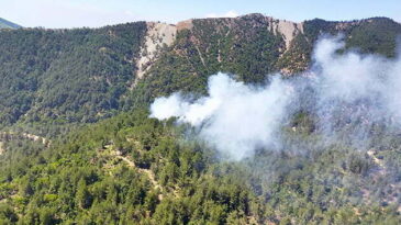Hatay’da Orman Alanlarına Giriş Yasaklandı