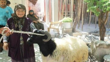 Rahme Teyze, polisin hediye ettiği kurbanı gözyaşlarıyla kestirdi