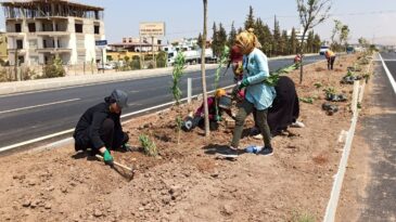 ÇEVRE DÜZENLEMESİNDE ÇİÇEK VE FİDAN DİKİMİ YAPILDI