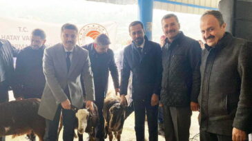 YAYLADAĞI’NDA 42 AİLEYE 882 DAMIZLIK KEÇİ VE TEKE HİBE DESTEĞİ VERİLDİ