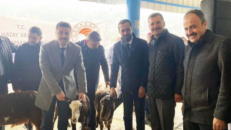 YAYLADAĞI’NDA 42 AİLEYE 882 DAMIZLIK KEÇİ VE TEKE HİBE DESTEĞİ VERİLDİ